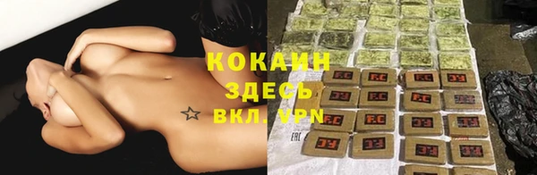герыч Пересвет