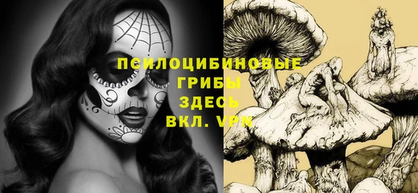 индика Абдулино