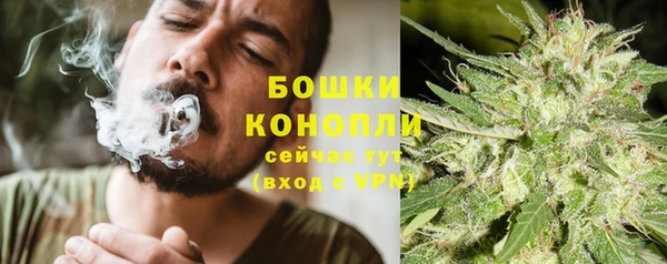 герыч Пересвет