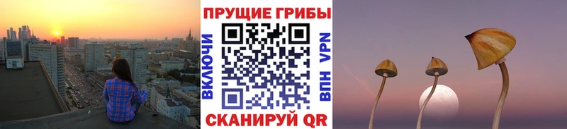 Псилоцибиновые грибы ЛСД  kraken как войти  Краснозаводск  купить закладку 
